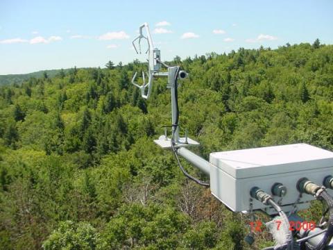 Sonic anemometer over the forest