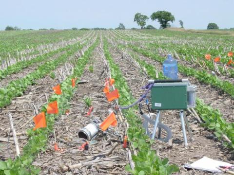 A commercial soil flux chamber used in a rain simulation experiment, Nebraska